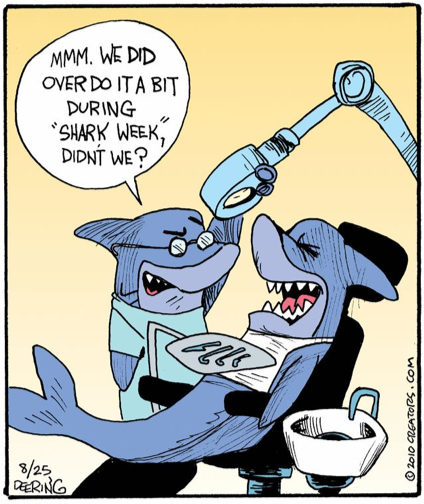shark-cartoon